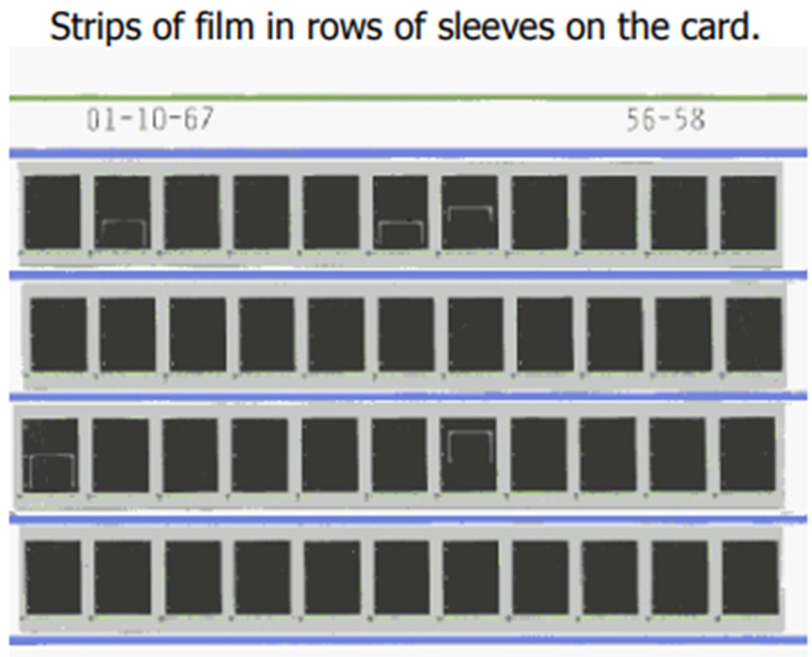 strips-of-film-in-rows